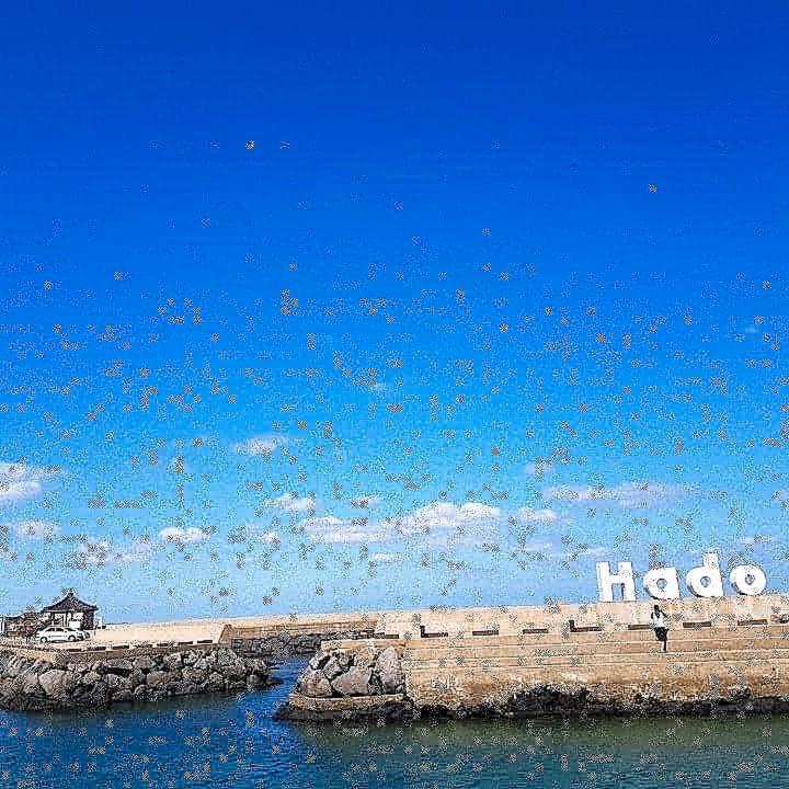 済州市 Hadori Mindfulnessヴィラ エクステリア 写真