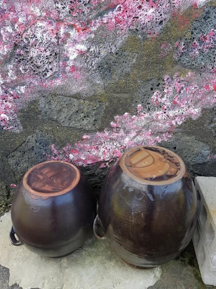 済州市 Hadori Mindfulnessヴィラ エクステリア 写真